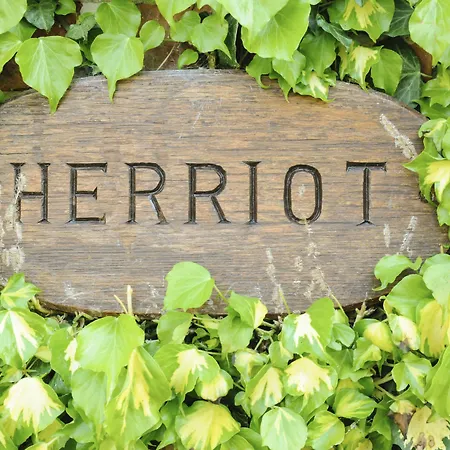 住宿加早餐酒店 白杨树客房和小屋住宿加早餐旅馆 4*