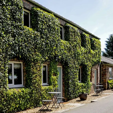 白杨树客房和小屋住宿加早餐旅馆 住宿加早餐酒店 瑟斯克