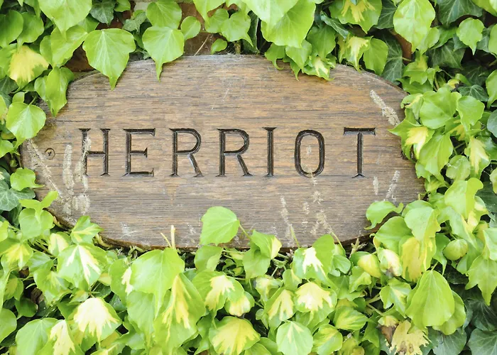 Bed & Breakfast The Poplars & 4*